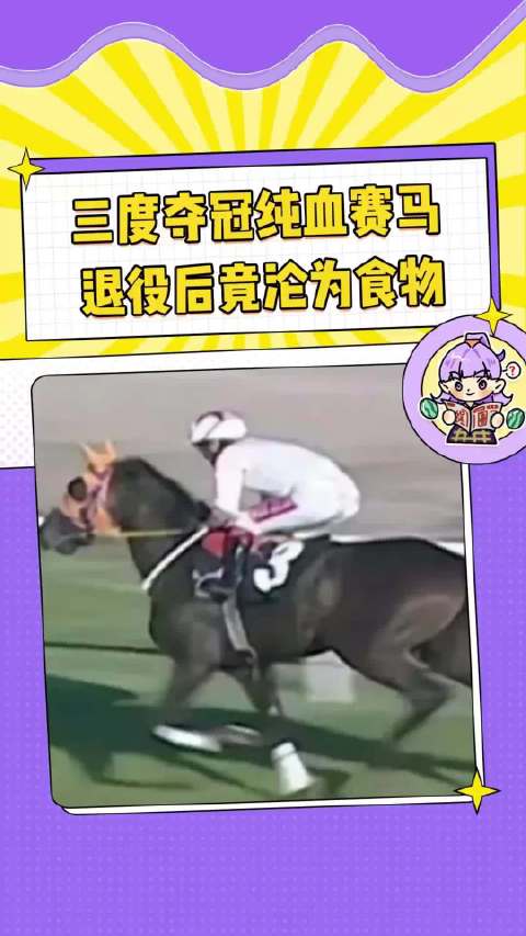 芯片本是为了记录辉煌，意外揭露多年秘密