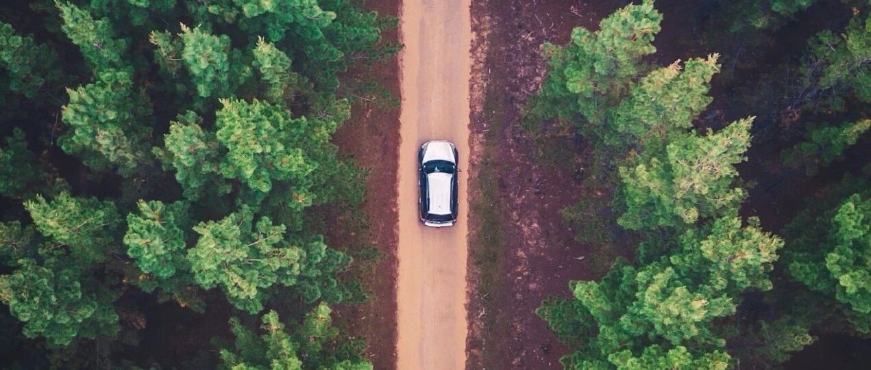 神州租车：深耕春日场景，扩容心智版图