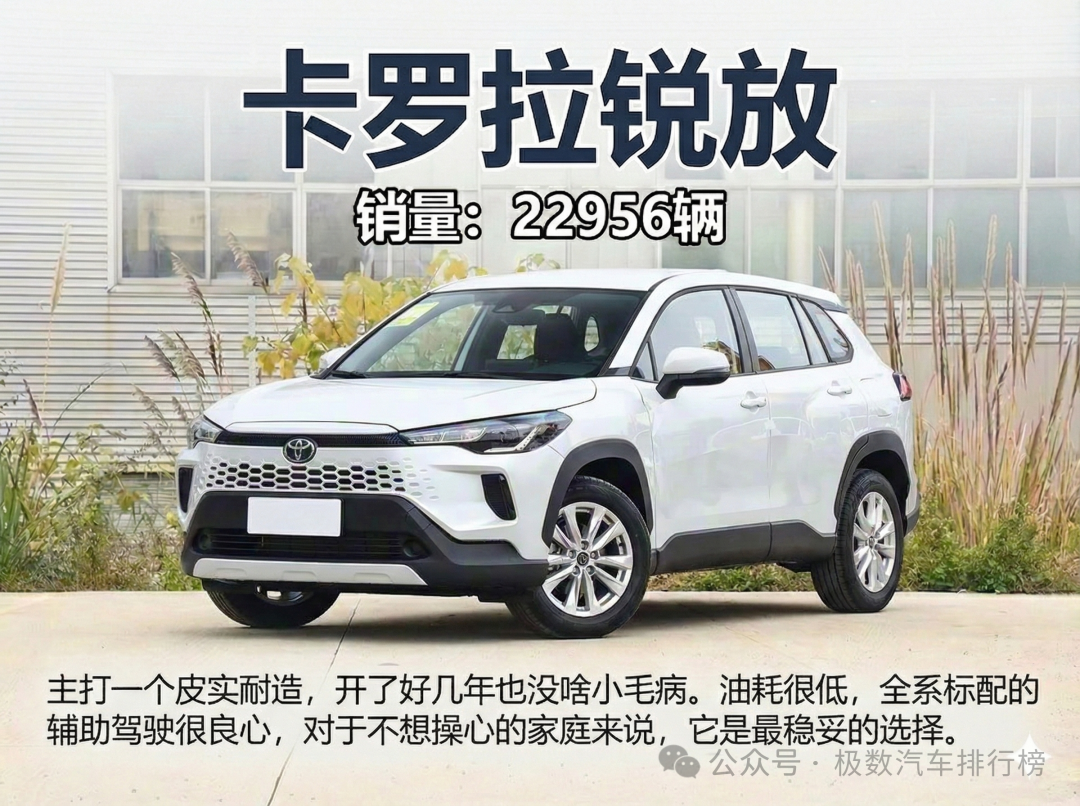 2025年12月紧凑型SUV销量榜:丰田双雄霸榜,这10款才是家用的万金油!