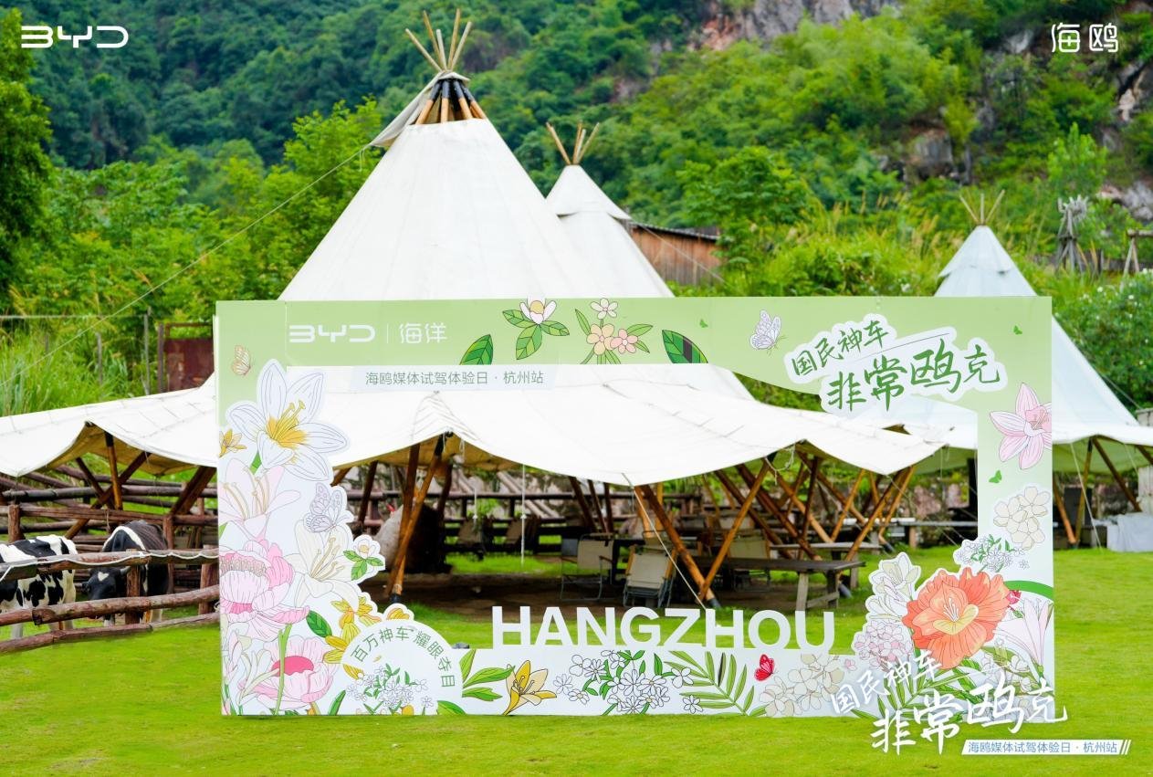 风暴中的自信飞翔—体验比亚迪海鸥天神之眼C智驾领航系统