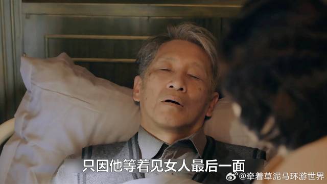 《我的山与海》谭松韵 司机突然找到女人，告诉她市长养父快死了