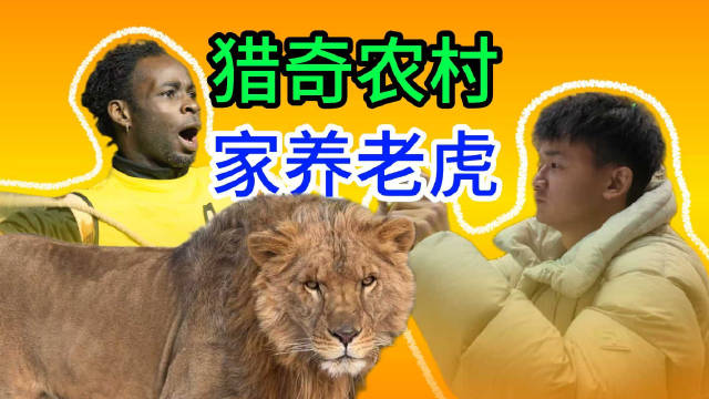 「趣体验」猎奇系列第一集，安徽农村家里养老虎，中式茶馆里黑人演杂技！