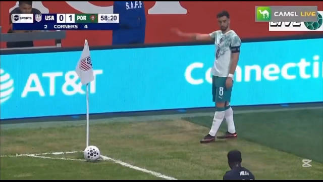 葡萄牙对阵美国比赛中，竟然这样轻松的放任费尔南德斯罚角球，那不得助攻+1？