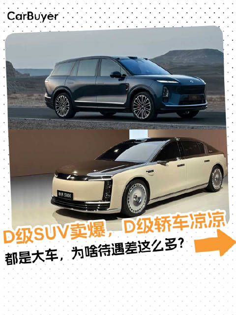 D级SUV卖爆，D级轿车无人问津？这届消费者太清醒了