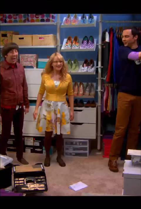 谢尔顿：我有外卖，你现在觉得自己蠢了吧