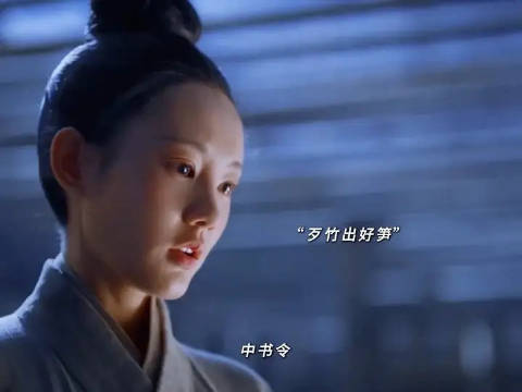 鹤唳华亭李一桐台词引热议中书令儿女对白