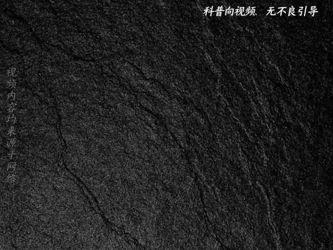 为何杨超越的学历并不耀眼，却赢得如此多的青睐？