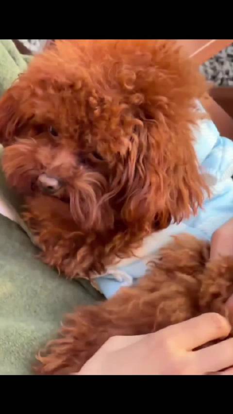 江衡李沛恩粉丝表达思念之情