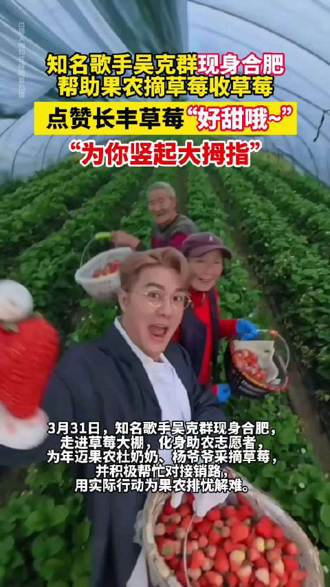 吴克群合肥助农摘草莓，帮老人解决滞销难题