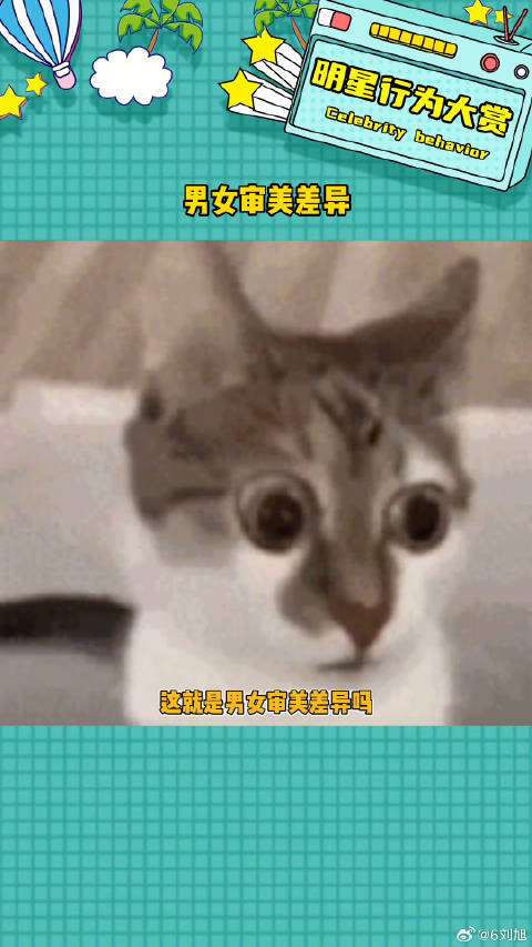 男生都喜欢高圆圆，刘诗诗那一挂的嘛angelababy 微博VC计划