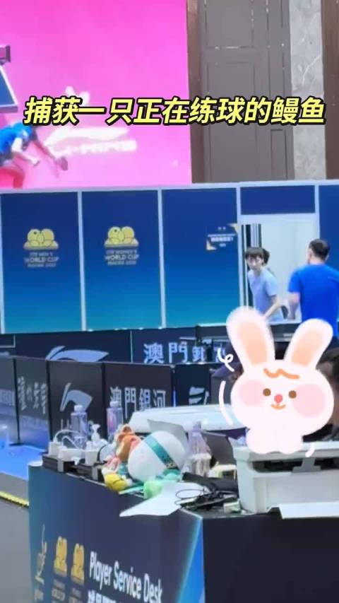 刷到一个认真练球的宝宝