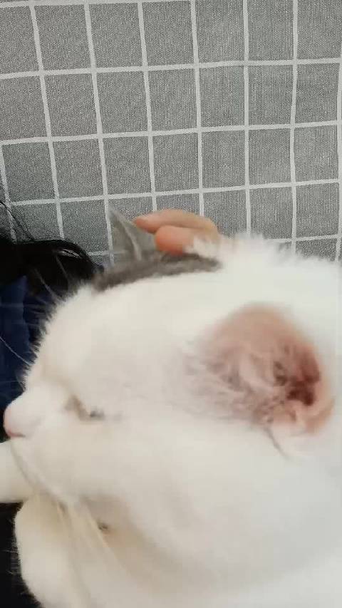 开拖拉机了