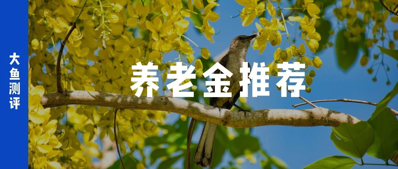 6.30前，演示3.9%、3.75%最值得关注的3款养老金