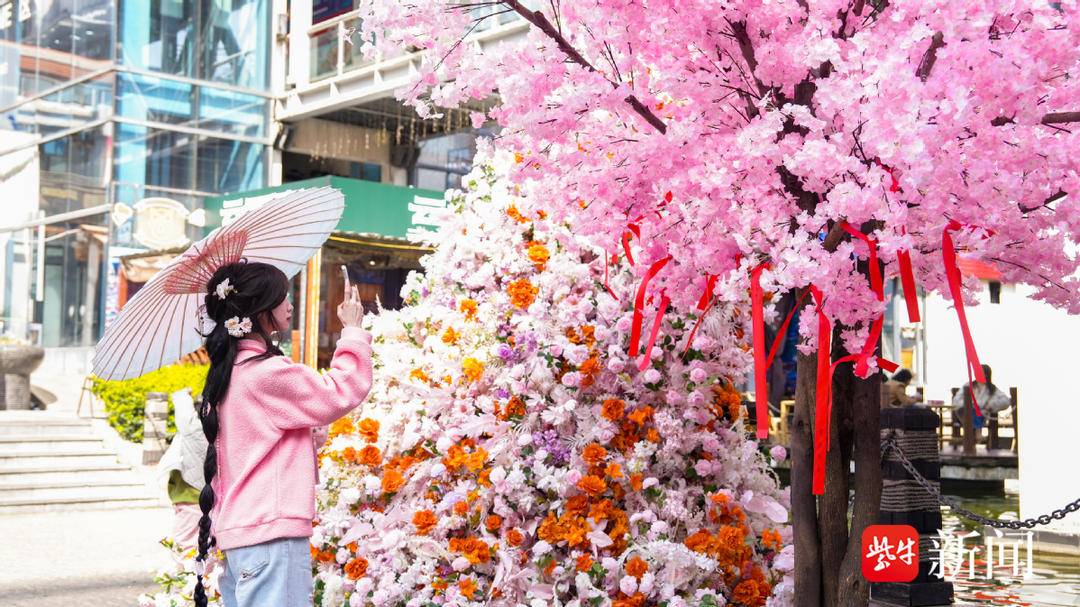 锦绣江南苏州行∣“城满芳华 厢遇花朝”2026 城厢镇花朝文化主题活动圆满落幕