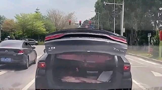 司机炫耀大鱼被交警秒查,保时捷女销售再夺销冠