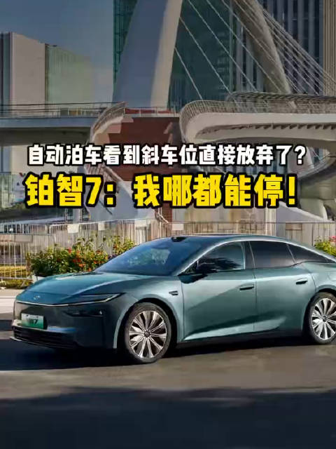 自动泊车看到斜车位直接放弃了？铂智7:我哪都能停！