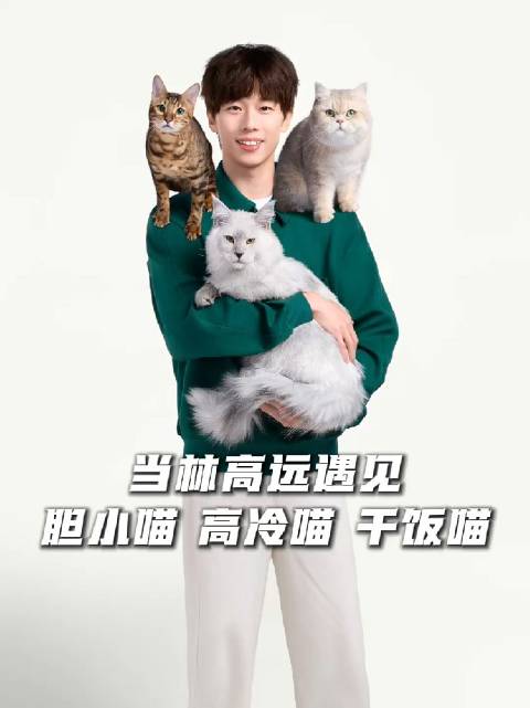 当@Eric-林高远 遇见开工干饭喵还好这份工作猫粮管够