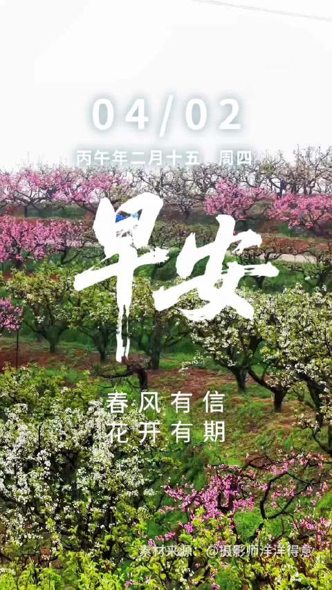 早安湖北展现荆楚花开盛景，赛事旅游引客来