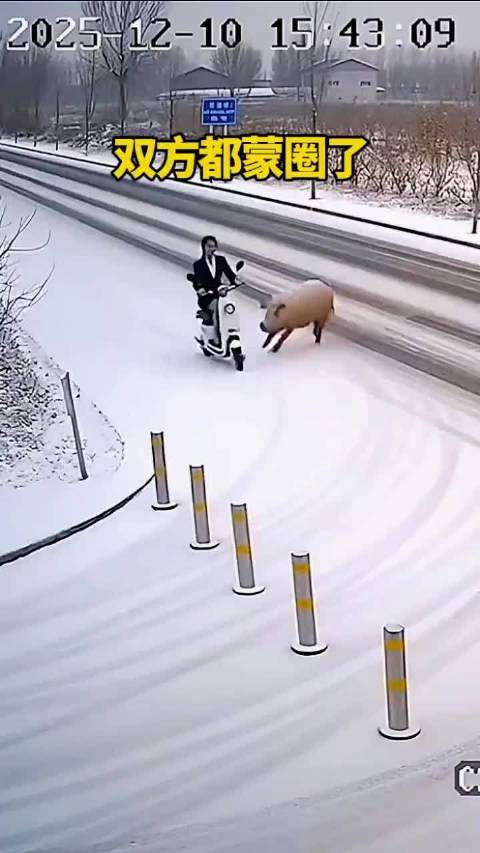二师兄也来查电动车了