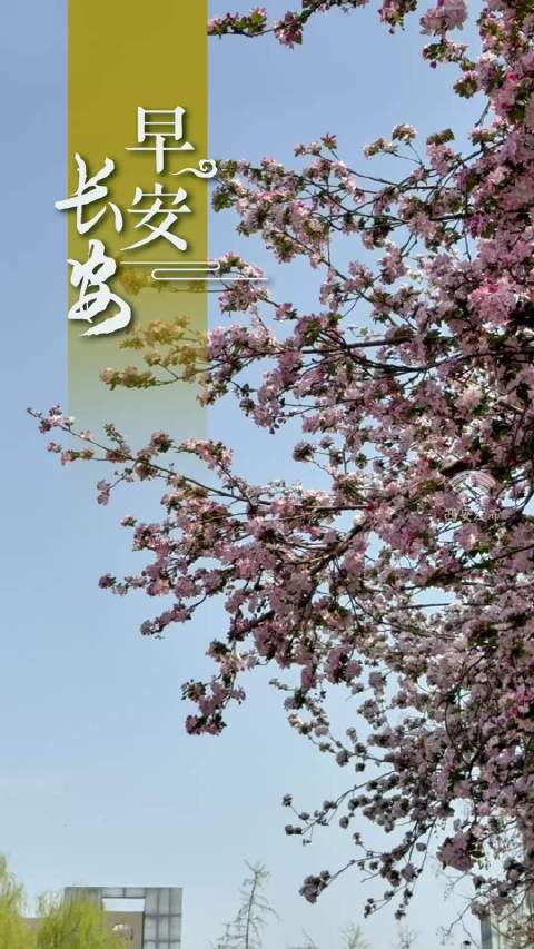 早安西安分享温庭筠海棠诗作