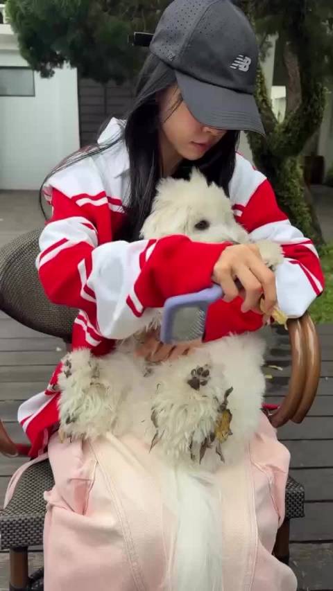 宠物护理师上线 蔡依林instagram更新