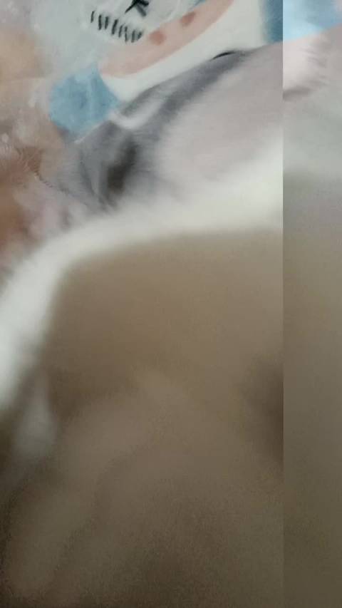 宝宝好象你@张艺凡 吵个不停