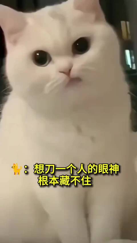 于正发起欢娱艺人电影人选投票