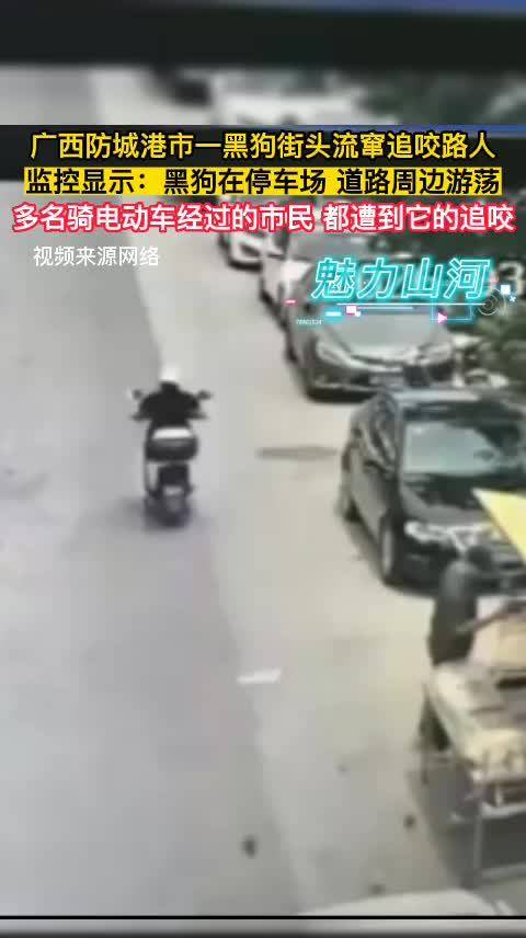 广西防城港黑狗街头追咬路人，多名市民遭袭