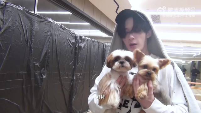 哈哈哈小呆，芭比我是被芭比强迫的，太可爱了三个都是宝宝！