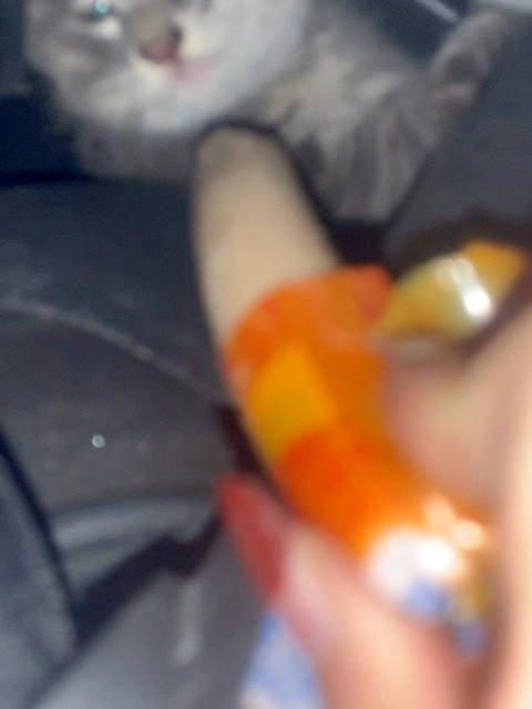 昨天晚上下班回家的路上想着去零食买点吃的