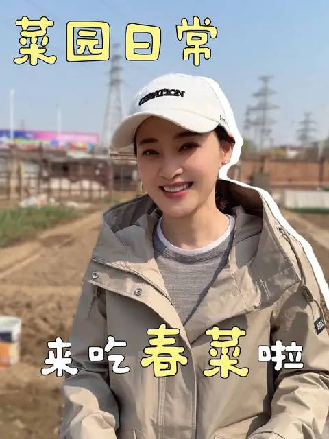 梅婷晒春菜vlog分享有机生活