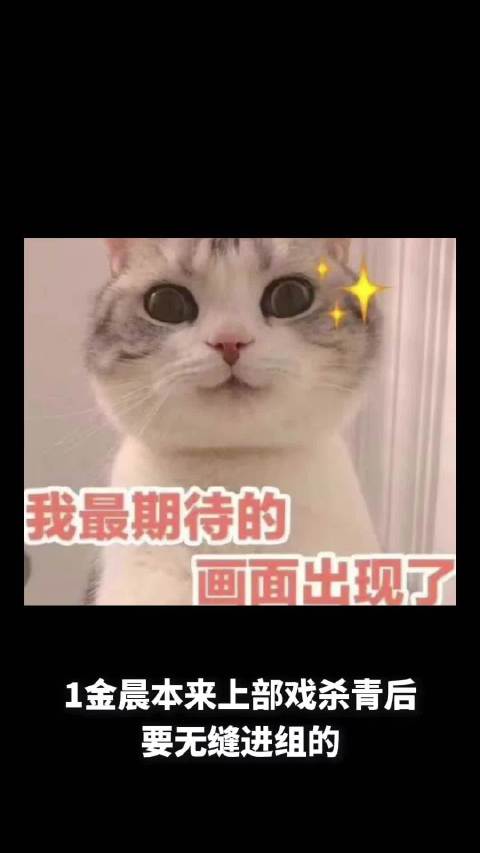 金晨被换角后出游，张艺兴禁演期发新歌，黄磊为多多打造文艺片