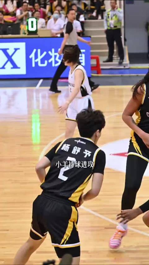 杨力维棒棒哒 女篮比赛