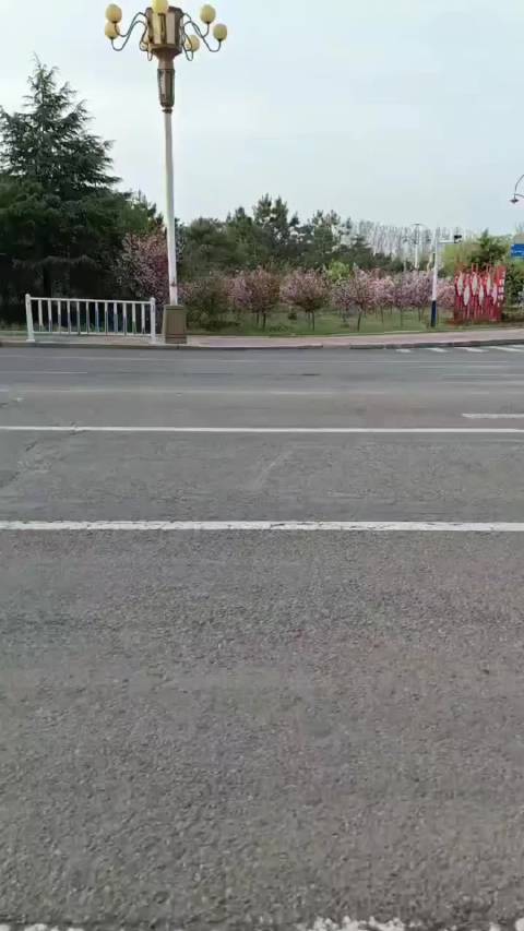 这是有多紧急的任务？把公交车当坦克开？还闯红灯，无视交通规则？