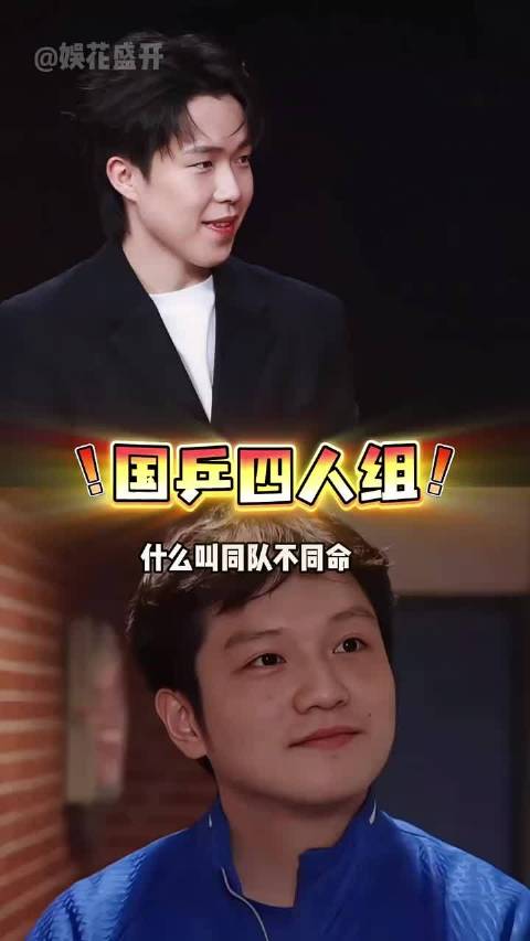 国乒四剑客半年动态：王楚钦晋级世界杯16强，马龙解锁新身份，樊振东获德国MVP