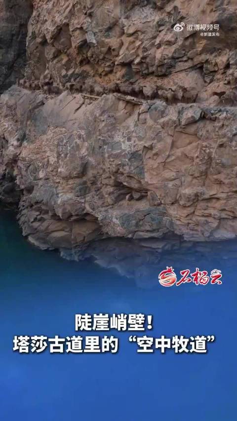 清明来新疆踏青新疆塔莎古道上藏着条空中牧道