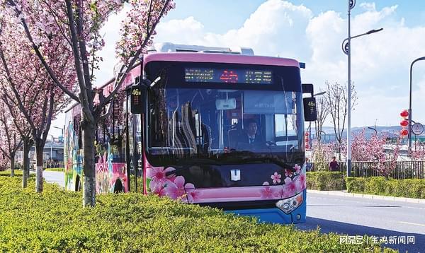 “移动花园”亮相街头  宝鸡46路赏花主题公交车上线