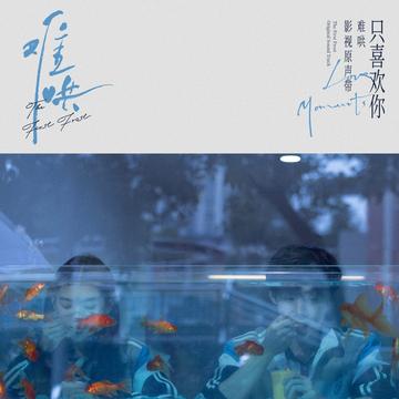 只喜欢你[电视剧《难哄》影视原声带专辑]