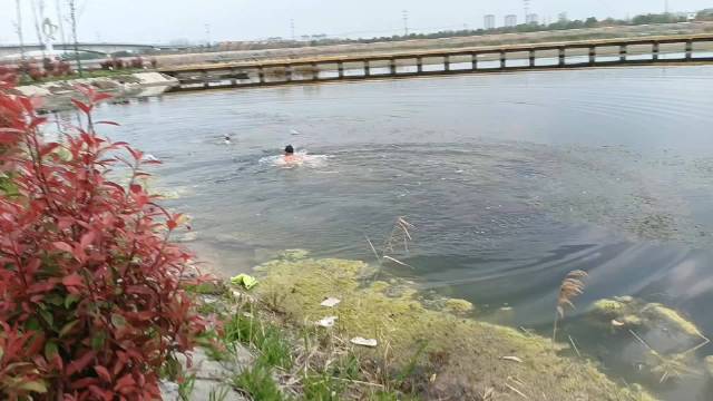 大连男子跳水托举救起落水男孩