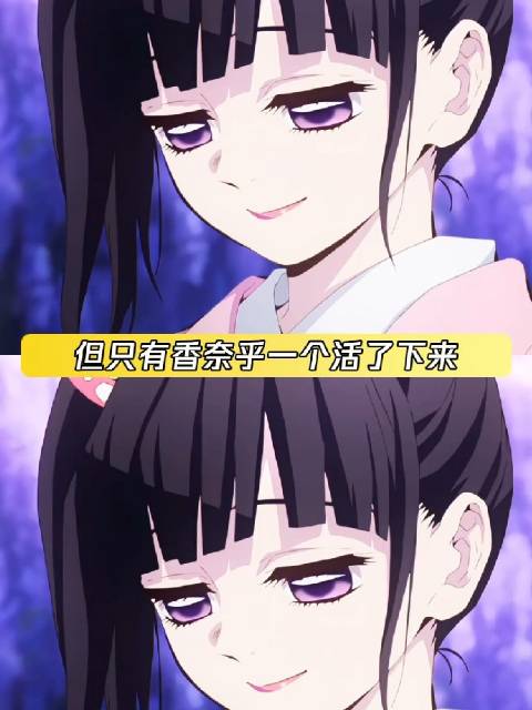 蝴蝶忍和香奈乎一定也带着她们的意志战斗吧 鬼灭之刃 蝴蝶忍 香奈乎 鹅滴神片
