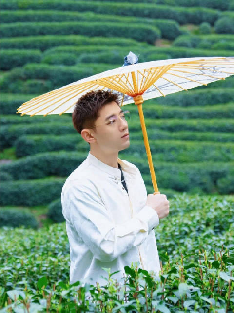 张继科抖音更新茶山春景视频