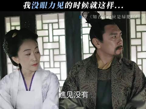 一个说城门楼子一个说胯骨轴子 知否知否应是绿肥红瘦