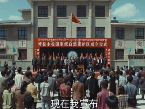杨紫演绎生命树白菊获赞，观众称其表演无痕迹