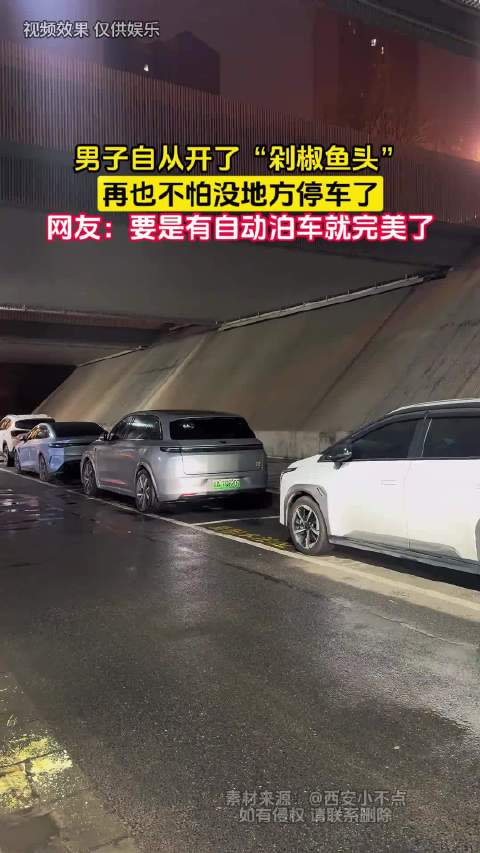 男子开剁椒鱼头后停车难题解决，网友盼自动泊车