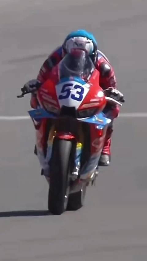张雪机车820RR斩获WSBK SSP组首冠,弯道性能领先杜卡迪4秒
