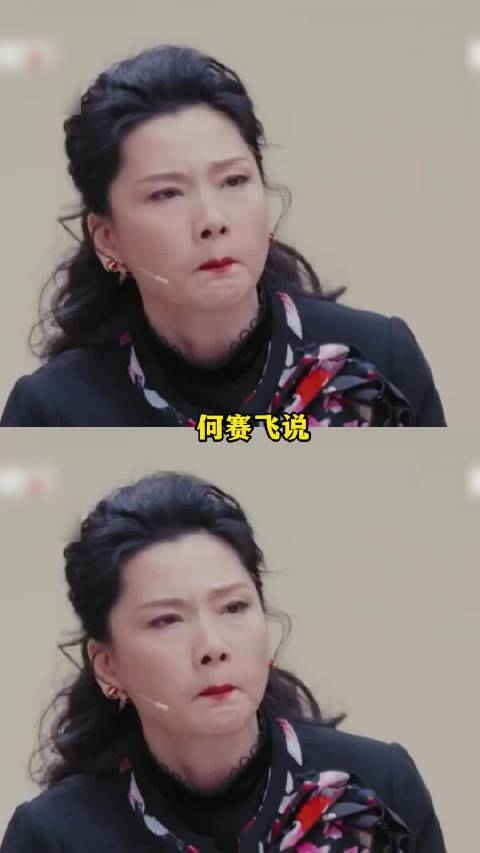 何赛飞呼吁演员谨慎选择剧本，强调作品文化导向