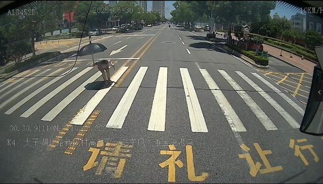 这比空调更降温!武汉公交司机停车礼让,市民90度鞠躬回敬斑马线武汉市一公交车_订阅