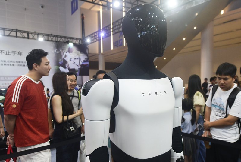 2025年6月22日，浙江杭州，观众在杭州一机器人展上观看特斯拉Optimus机器人东方IC