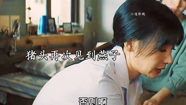 春节二创视频大赛启动，猪头燕子重逢引关注