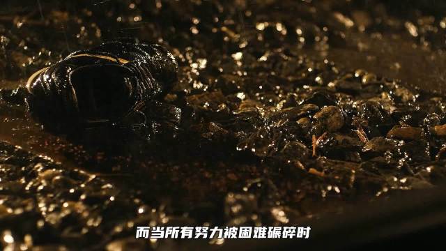 学生以命复仇后老师抱遗像冲向防暴警察